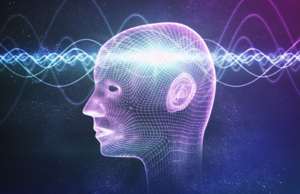 Why are we&nbsp;curious?