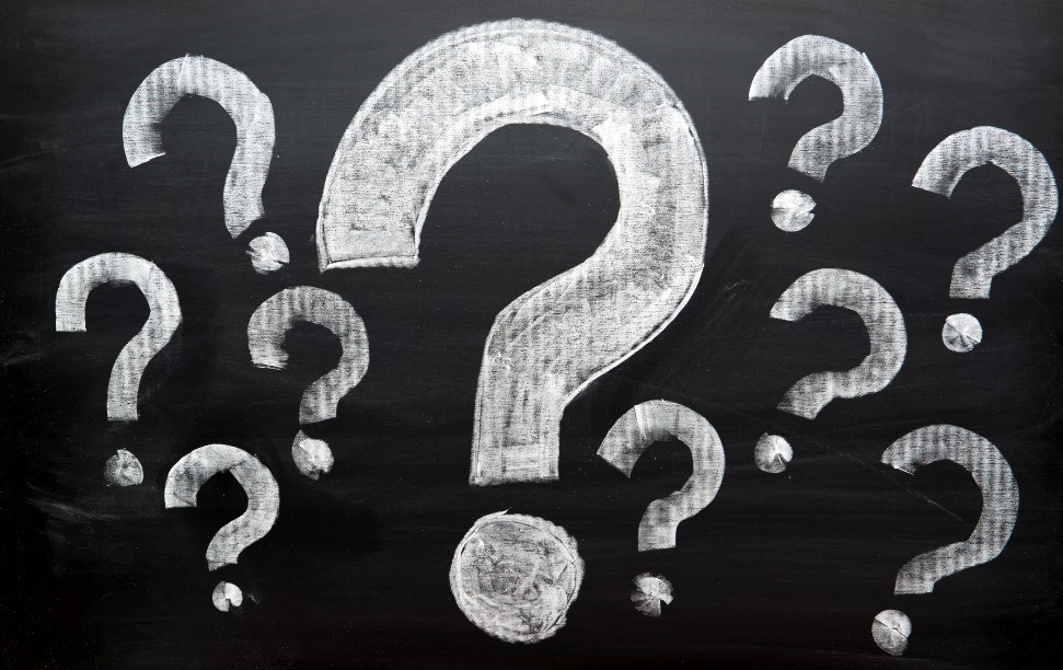 Curiosity: An Introduction